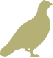 home grouse icon